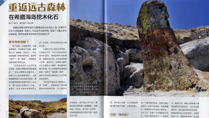 china-apolithomeno-dasos